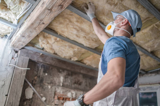 Best Insulation Maintenance and Repair in Desert Edge, CA